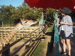 -西霞口神雕山野生动物世界