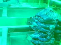 -老鼎万春卤菜(五代传承创始老店)