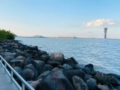 -上海吴淞炮台湾国家湿地公园