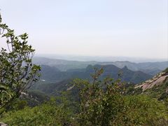 -鲁山国家森林公园