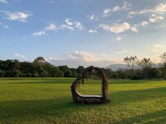 -中国科学院西双版纳热带植物园