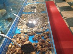 -蓝钻·国际美食海鲜自助百汇(西直门店)