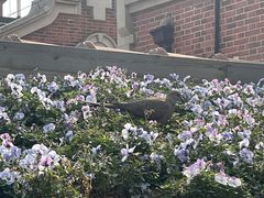 景观位-山石榴·贵州菜(丰盛里店)