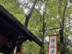 -刘伯温故里景区百丈漈