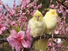 -贵阳市花溪国家城市湿地公园