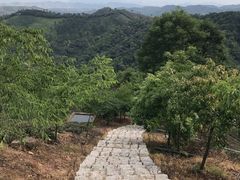 -安吉涵田度假村·水榭居中餐厅