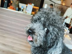 -HABO COFFEE(花园城店)