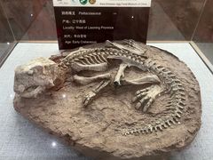 -西峡恐龙遗迹园