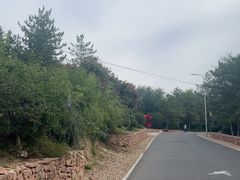 -红山国家森林公园