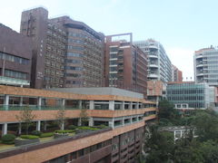 -香港大学