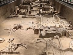 -洛阳周王城天子驾六博物馆