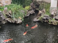 -鲤院·新中式美学·庭院餐厅(夫子庙店)