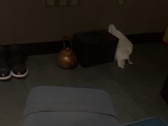 -上足·影院足道·SPA(红岭店)