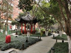 -浙江大学医学院附属第二医院(解放路院区)