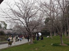 -堤角公园