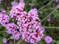 -江苏三台山国家森林公园