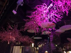 -韵秋荷(宝山龙湖天街店)