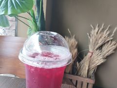 红莓黑加仑-红跑车(朝晖店)