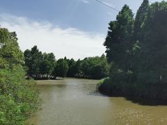 -上海海湾国家森林公园