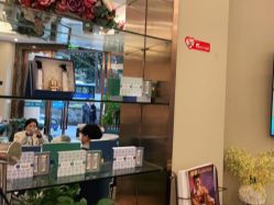 -碧莲盛·不剃发植发