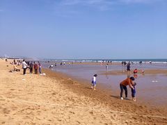 -巧克力渔家.小船海鲜胶东菜(万平口店)