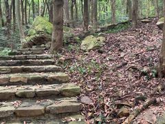 -广州市石门国家森林公园