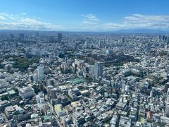 -六本木新城展望台(东京城市景观)