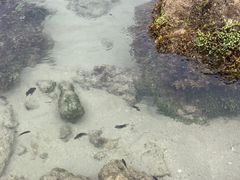 -三亚西岛海洋文化旅游区