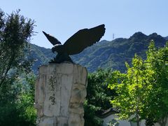 -北京鹫峰国家森林公园