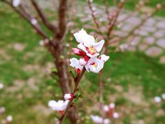 -哈尔滨北方森林动物园