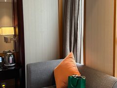 -成都明宇丽雅饭店