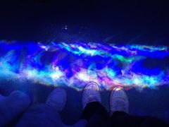 -多彩贵州城极地海洋世界