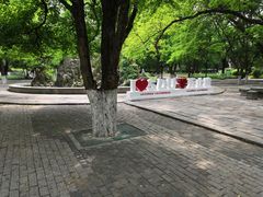 -山东大学(趵突泉校区)