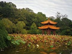 -富乐山