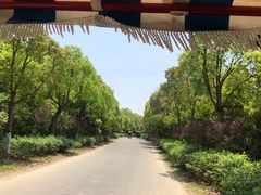 -上海海湾国家森林公园