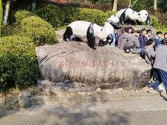 -都江堰中华大熊猫苑