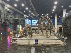 -吉林省自然博物馆