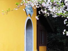 -灵隐飞来峰景区