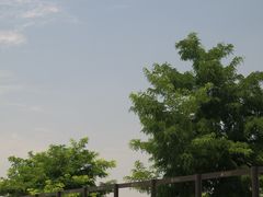 -汉长安城未央宫国家考古遗址公园