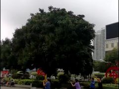-北部湾广场