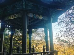 -秦岭风景区