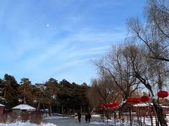 -长春市南湖公园