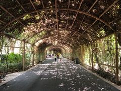 -杭州野生动物世界