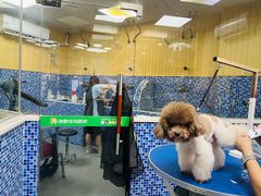 -瑞鹏宠物医院犬猫全科(真大分院)