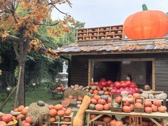 -HERRE·FARM 赫尔露营农场·团建聚会包场