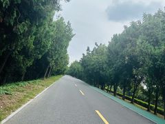 -洪泽湖古堰景区