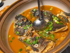 -千岛湖小鱼儿·淳安匠心农家菜