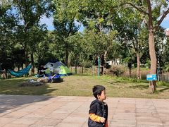 -新江湾城公园