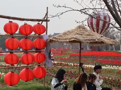 -金卉庄园