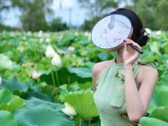 -陶辛水韵